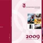 Consolidated Hallmark, 2009 Annual Report