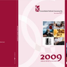 Consolidated Hallmark, 2009 Annual Report