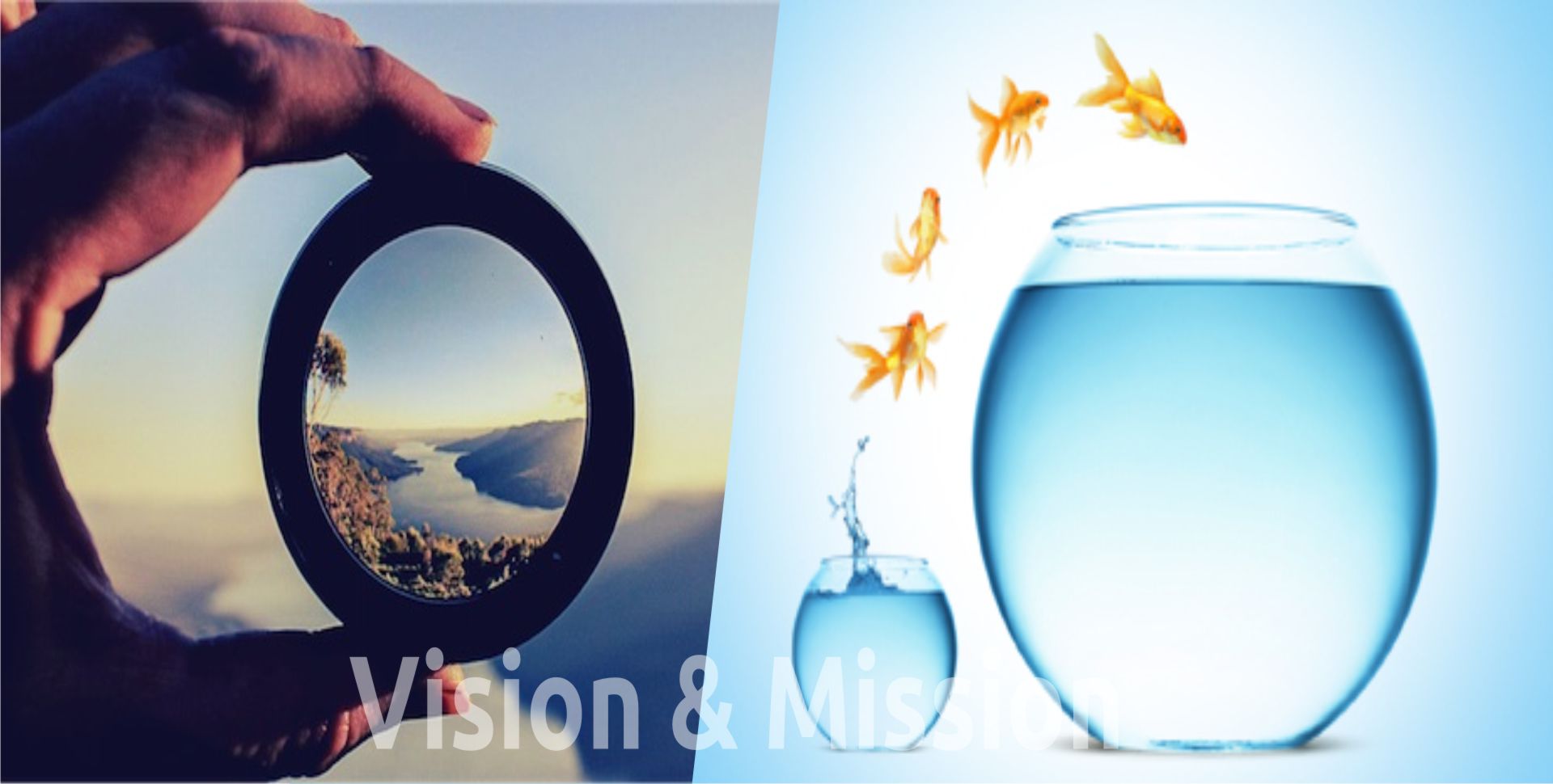 Our Vision & Mission