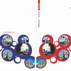 Staco Insurance, 2012 Annual Report