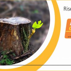 life goes on billboard RISE OR FALL