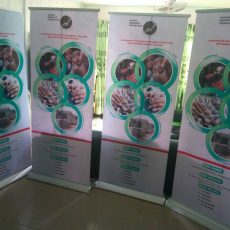 WhatsApp Image 2018-05-21 at 1.19.05 PM (1)