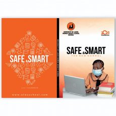 safe and smart 3